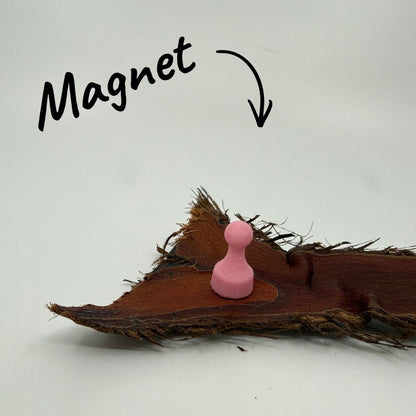 Magnet Pin