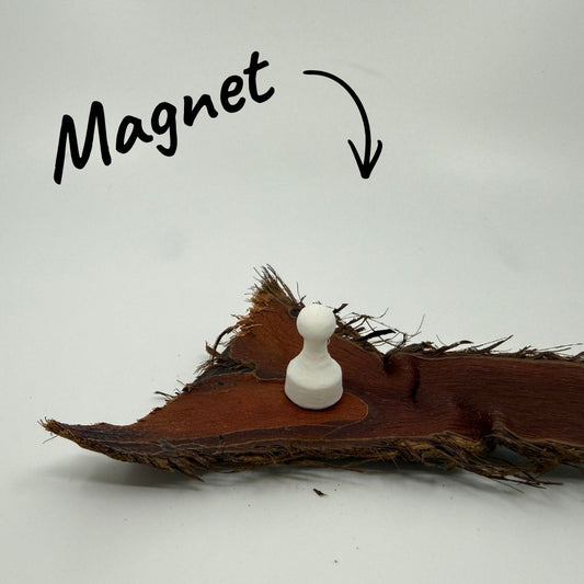 Magnet Pin