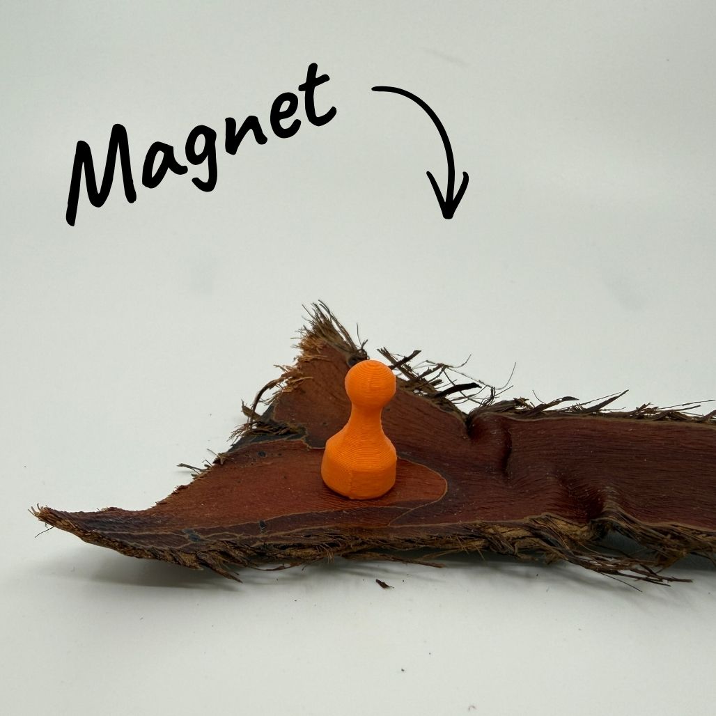 Magnet Pin