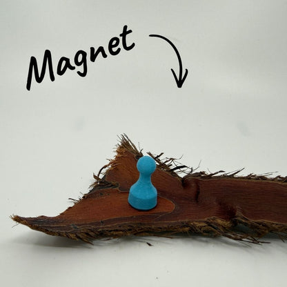 Magnet Pin