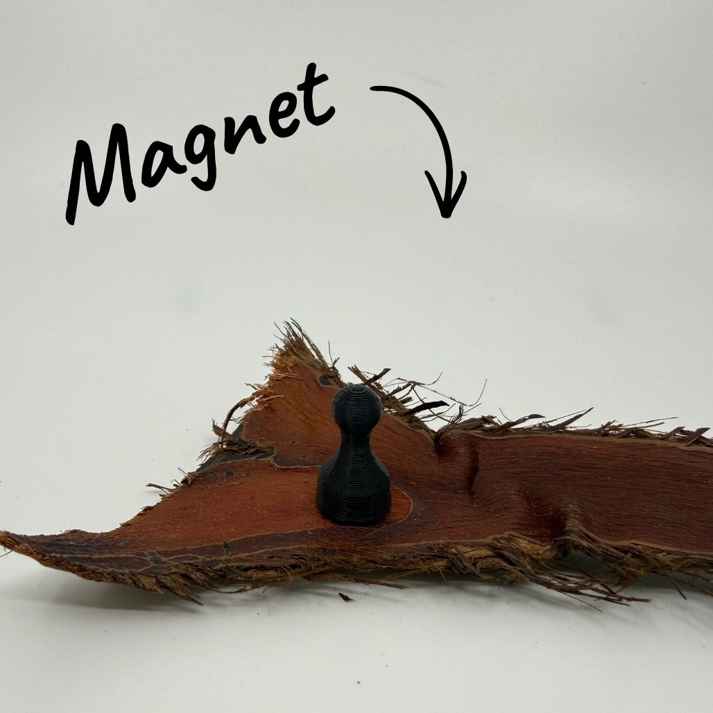 Magnet Pin