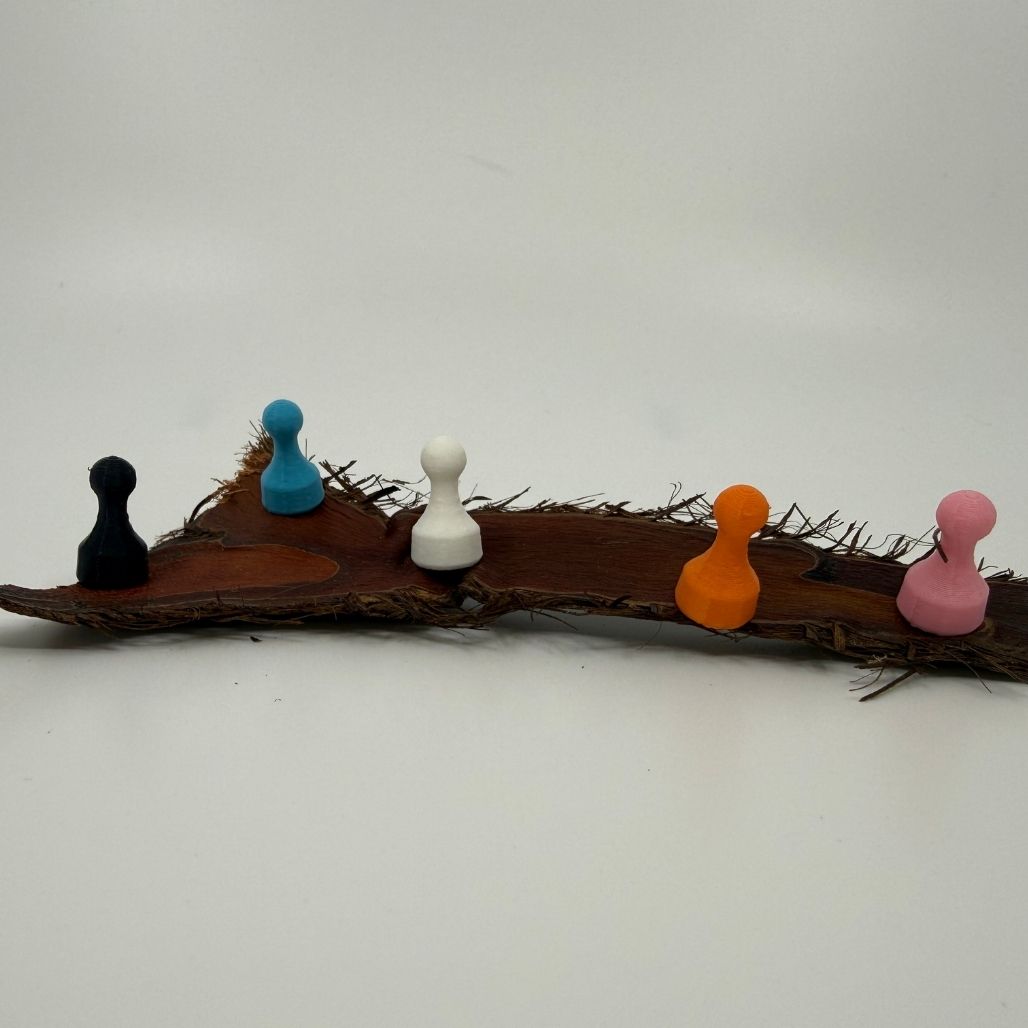 Magnet Pin